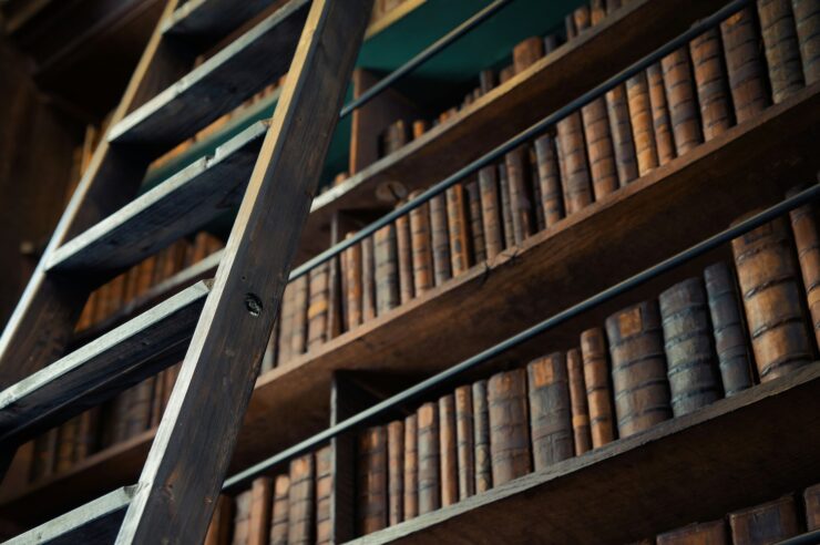 Photograph of a bookshelf, looking up at an angle. A ladder leans against the shelf.